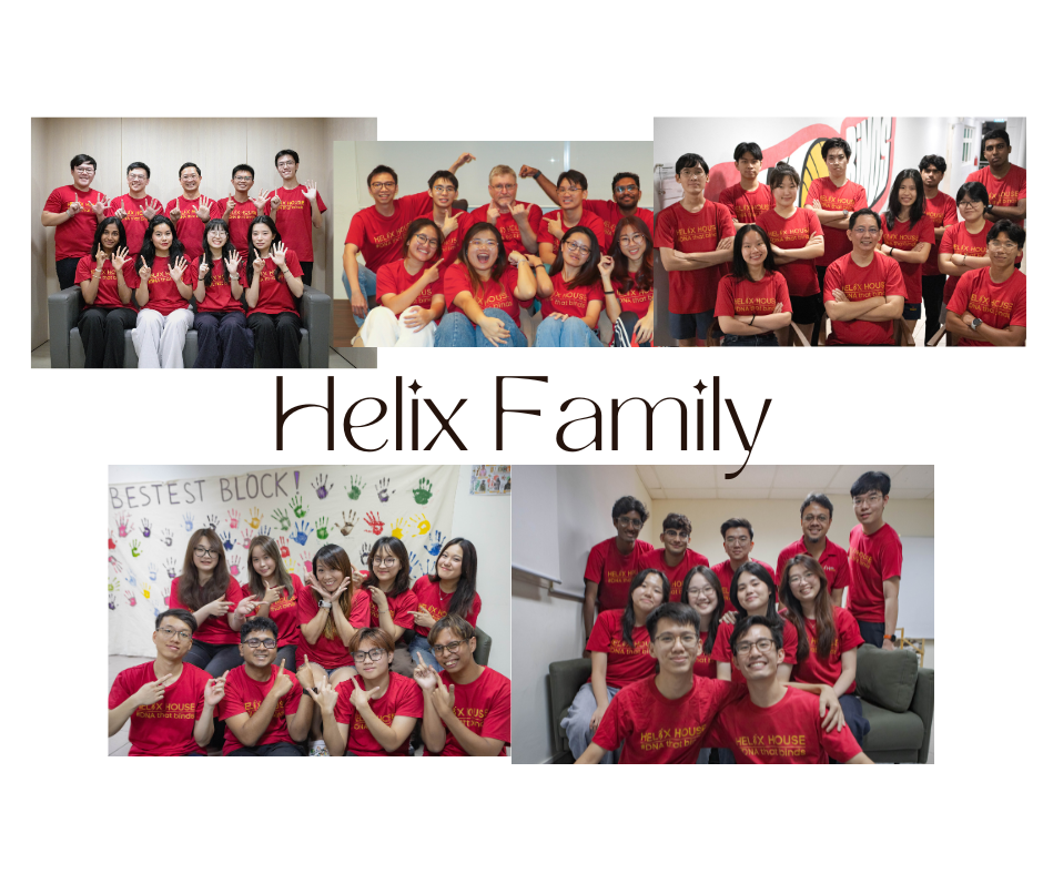 White Collage Travel Blog Facebook Post