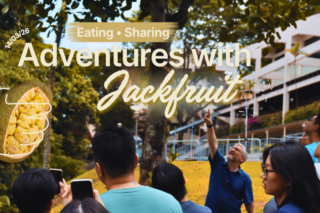 1024x683 Hightlights post