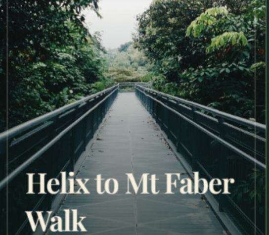 Mt Faber Happenings